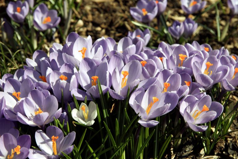 Top 5 Things to Do This Spring